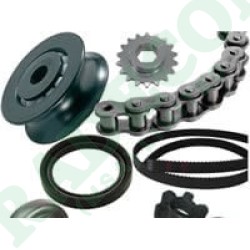 Transmission + Seals