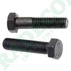 8.8 Hex Bolts