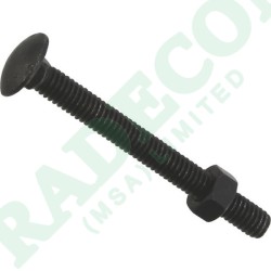Carriage Bolts